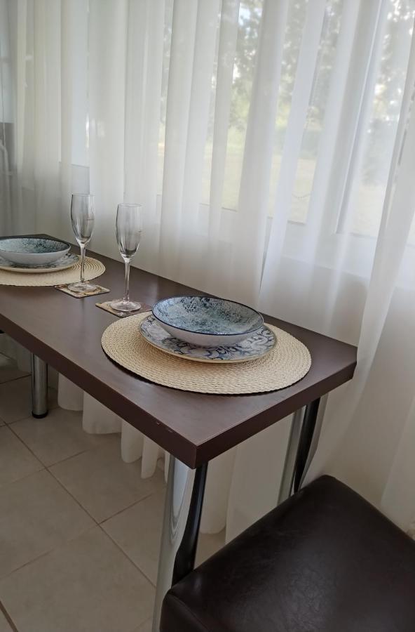Chic Apartment Piteşti Dış mekan fotoğraf